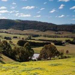 Victoria Accommodation Massachusetts