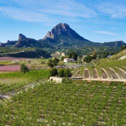 Murcia Accommodation Massachusetts