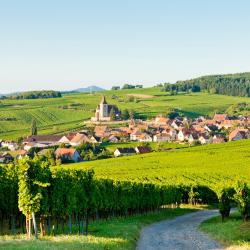 Alsace Accommodation Massachusetts