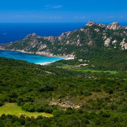 Corsica Accommodation Massachusetts