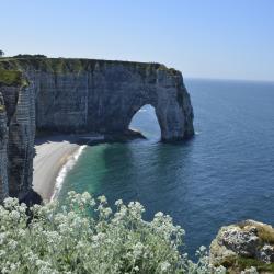 Normandy Accommodation Massachusetts
