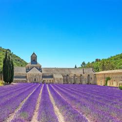 Provence Accommodation Massachusetts
