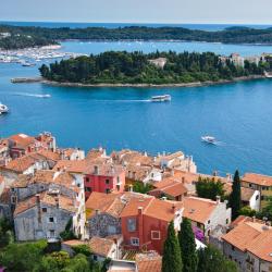 Dalmatia Accommodation Massachusetts