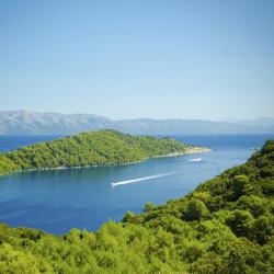 Mljet Island Accommodation Massachusetts