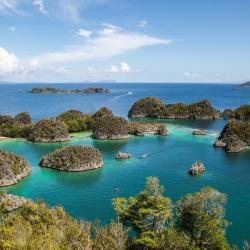 Raja Ampat Accommodation Massachusetts