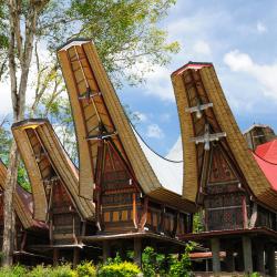 Sulawesi Accommodation Massachusetts