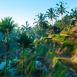 Ubud Accommodation Massachusetts