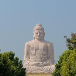 Bihar Accommodation Massachusetts