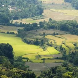 Coorg Accommodation Massachusetts