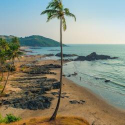 North Goa Accommodation Massachusetts