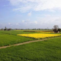 Punjab Accommodation Massachusetts