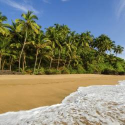 South Goa Accommodation Massachusetts