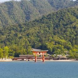 Aichi Accommodation Massachusetts