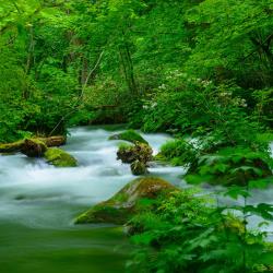 Aomori Accommodation Massachusetts