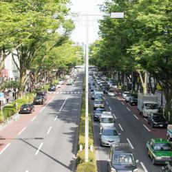 Omotesando, Tokyo Accommodation Massachusetts