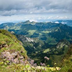 Coromandel Peninsula Accommodation Massachusetts