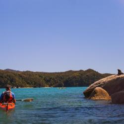 Golden Bay Accommodation Massachusetts