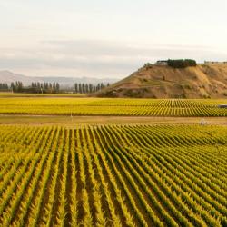 Hawke's Bay Accommodation Massachusetts