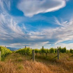 Marlborough Accommodation Massachusetts