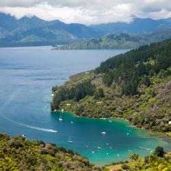 Marlborough Sounds Accommodation Massachusetts