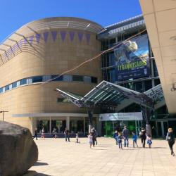 Te Papa Museum, Wellington Accommodation Massachusetts