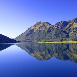 Wanaka Accommodation Massachusetts