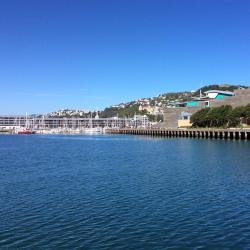 Wellington Accommodation Massachusetts