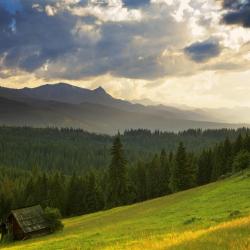 Gmina Bukowina Tatrzanska Accommodation Massachusetts