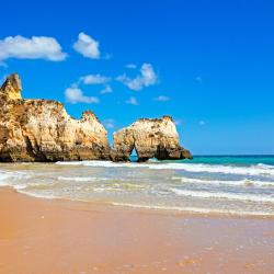 Alvor Accommodation Massachusetts