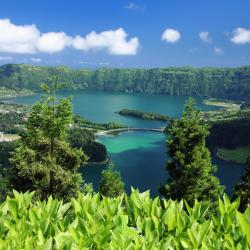 Azores Accommodation Massachusetts