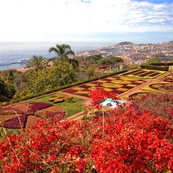 Funchal Accommodation Massachusetts