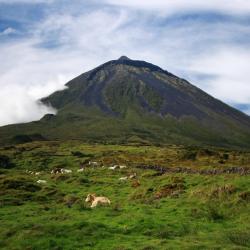 Pico island Accommodation Massachusetts