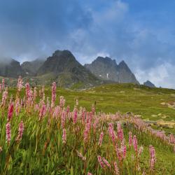 Santa Maria Accommodation Massachusetts
