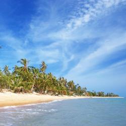 Koh Samui Accommodation Massachusetts