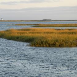 Cape Cod Accommodation Massachusetts