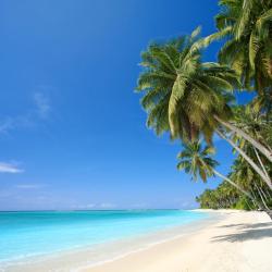 Hawaii Accommodation Massachusetts