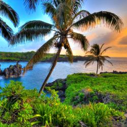 Maui Accommodation Massachusetts