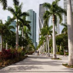 Miami Accommodation Massachusetts