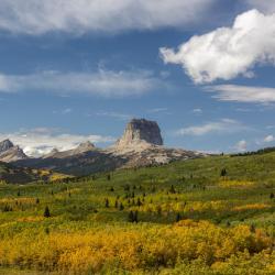 Texas Accommodation Massachusetts