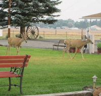 Rim Rock Motel - Accommodation Massachusetts