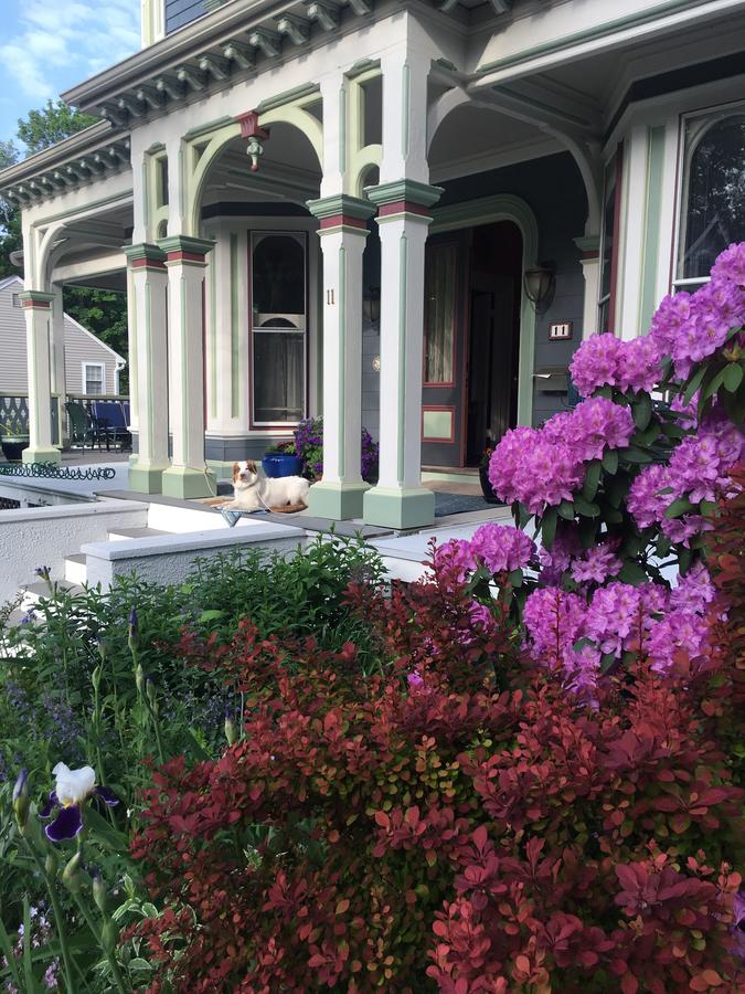 Chesley Road Bed And Breakfast - thumb 44