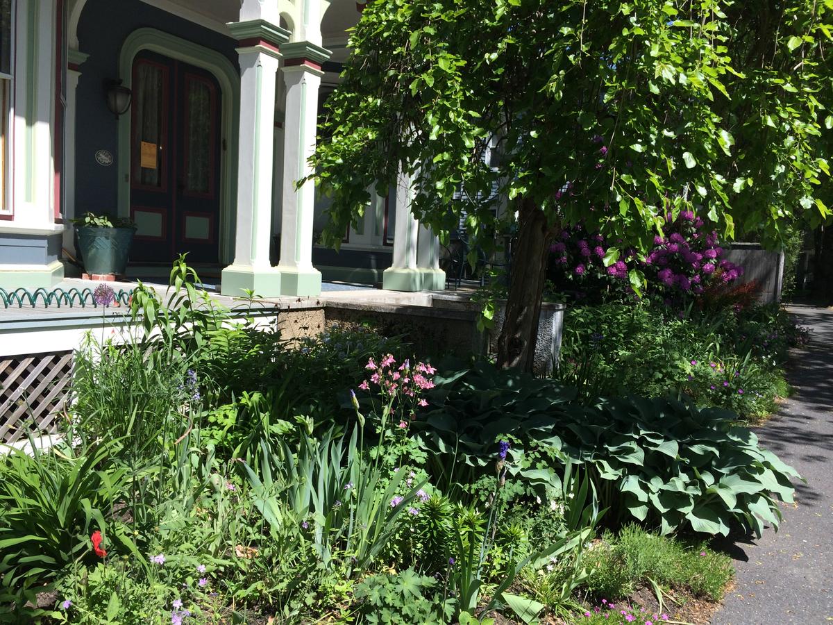Chesley Road Bed And Breakfast - thumb 42