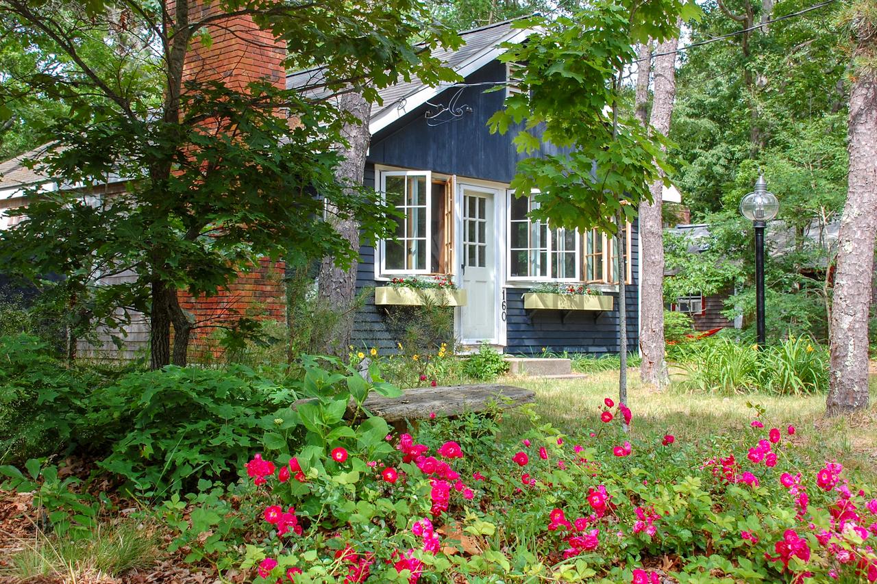 Cerulean Cottage - thumb 33
