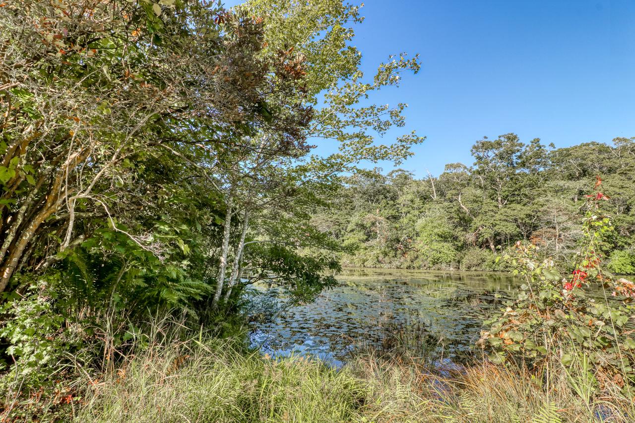 Koi Pond Cottage - thumb 31