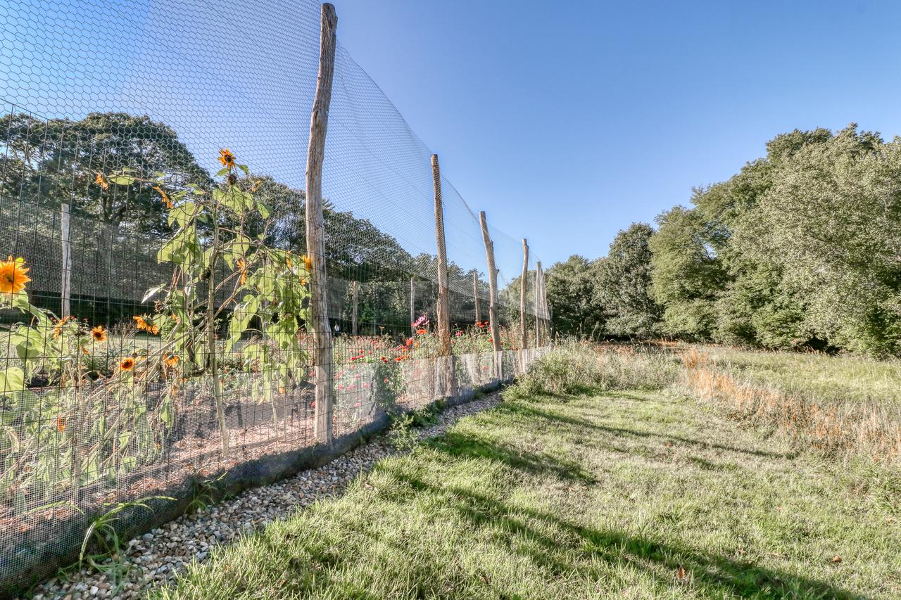 Koi Pond Cottage - thumb 27