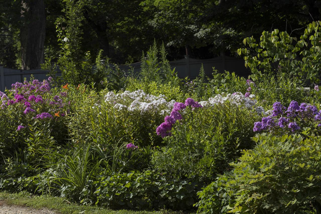 Staveleigh House Bed And Breakfast - thumb 8
