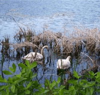 House on Boland Pond - Accommodation Massachusetts