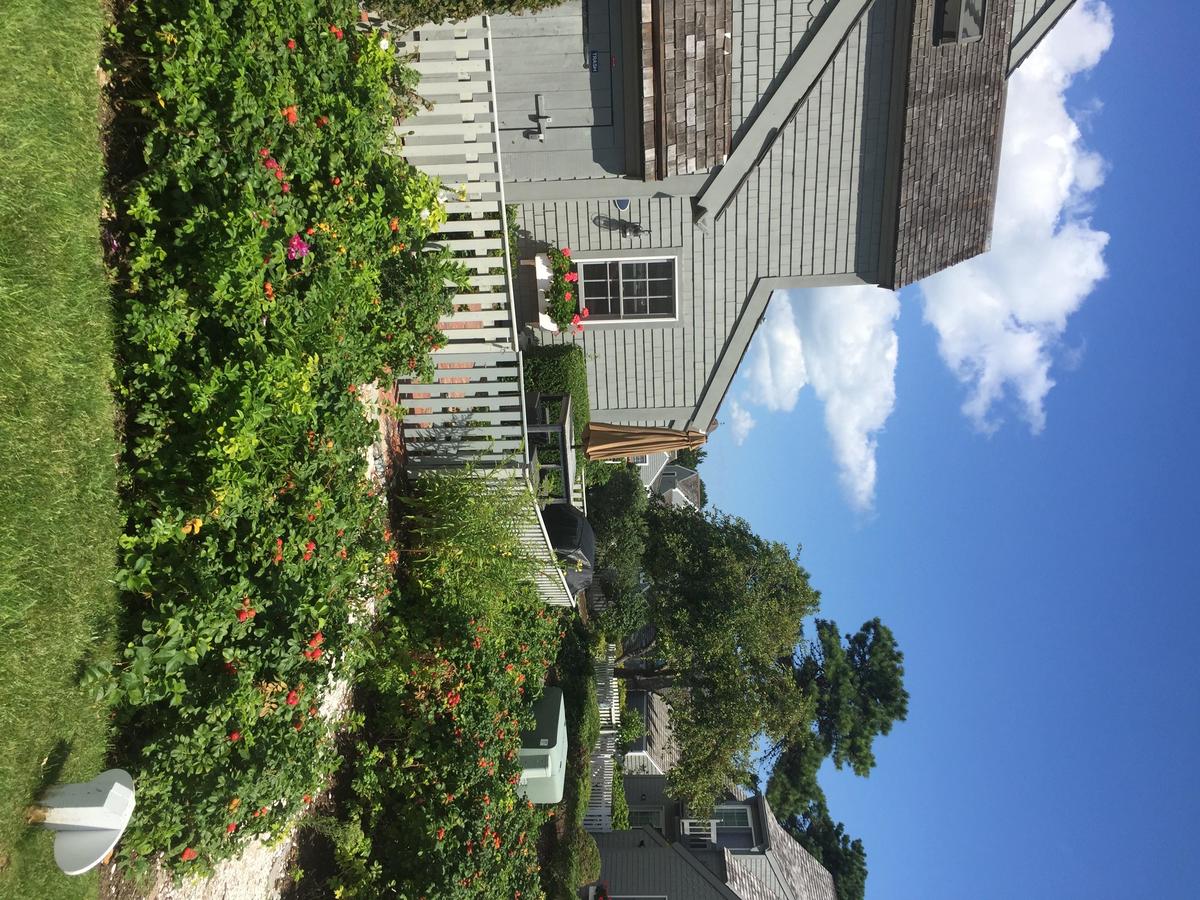 Maushop Village - thumb 7