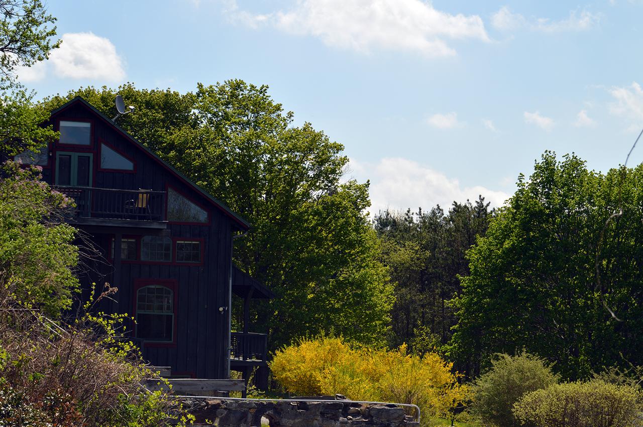 Conroy's B&B - thumb 4