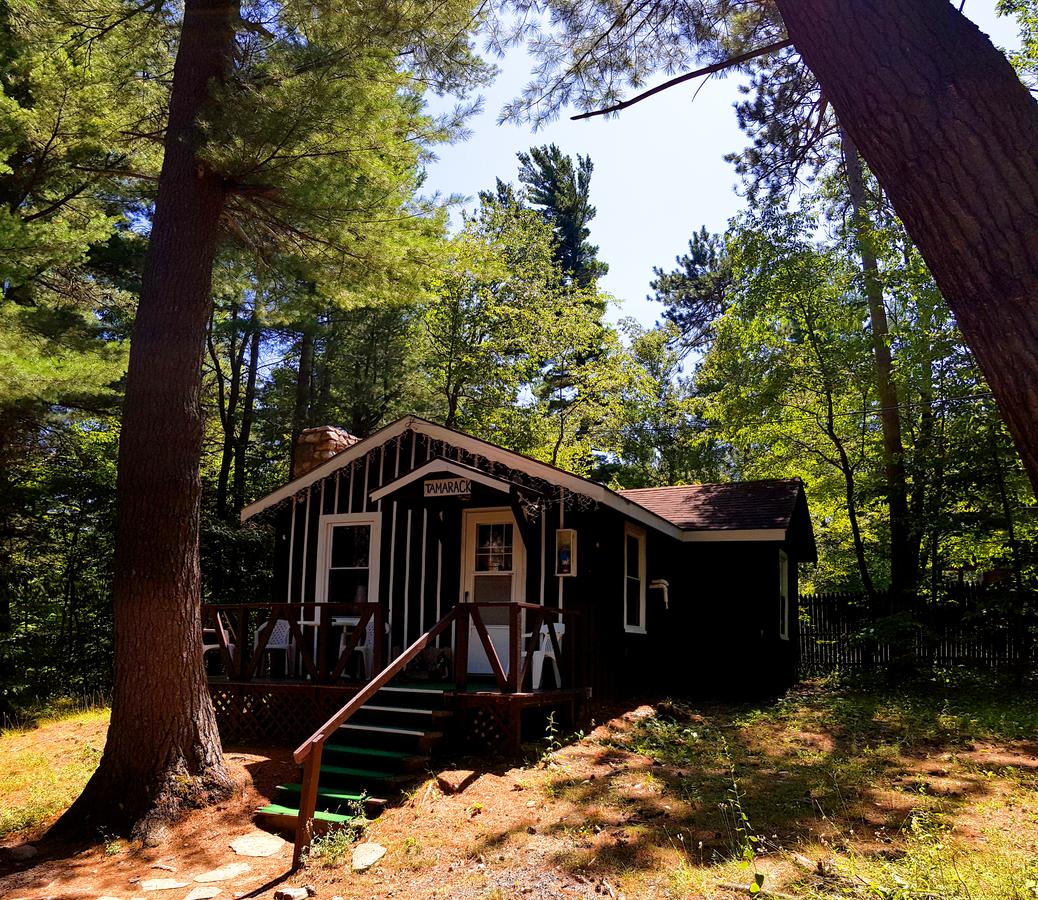 The Wilderness Inn: Chalets - thumb 23